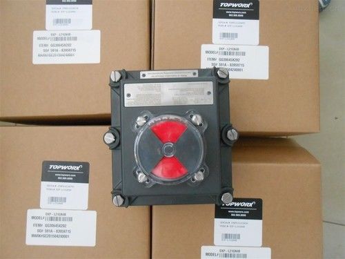 Emerson TopWorx DXP DXP-M21GN4S Variety of Bus Networks and Sensor Options
