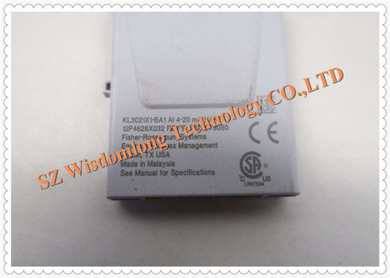 Emerson DeltaV Analog Input KL3021X1-BA1 12P4628X062 AI 4-20mA Charm HART  I/O Subsystem
