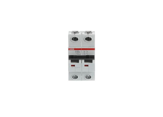 ABB S202-C100 2CDS252001R0824 S202-C100 Miniature Circuit Breaker - 2P - C - 100 A