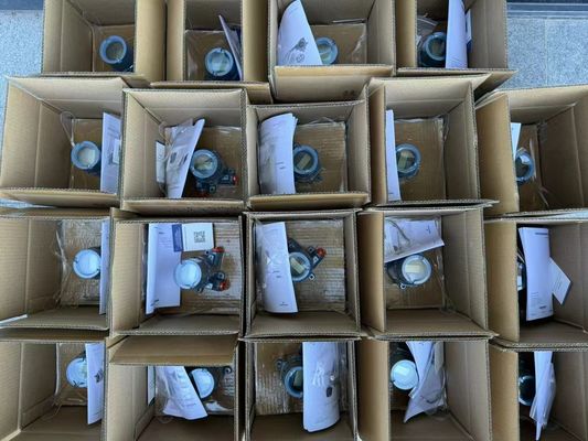 Rosemount 3051TG1A2B21A Gauge Pressure Transmitter for Process Control